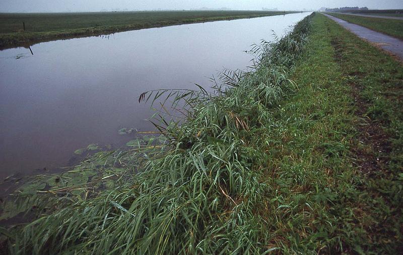 WT 1900 249-20 Netherlands.jpg